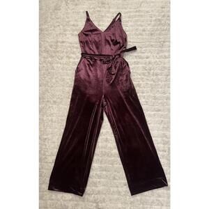 Banana Republic whimsigoth dark fairy burgundy V-neck velvet jumpsuit Size 2